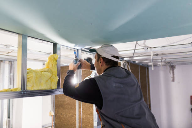 Best Insulation Inspection Services  in North Tonawanda, NY